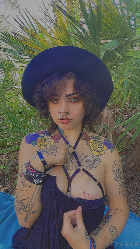 Veyavilla