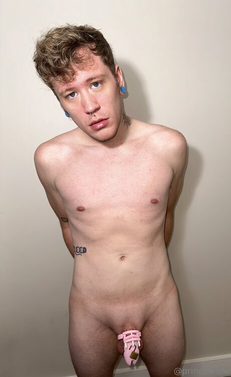 Nacktes geleaktes OnlyFans-Foto von Princecsart