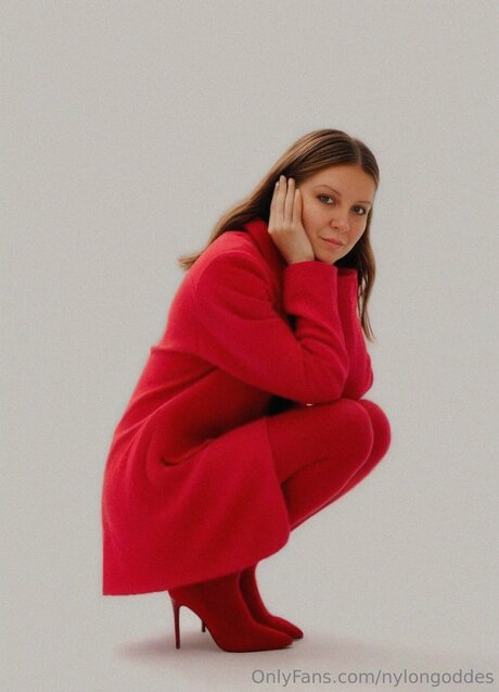 Nylongoddes