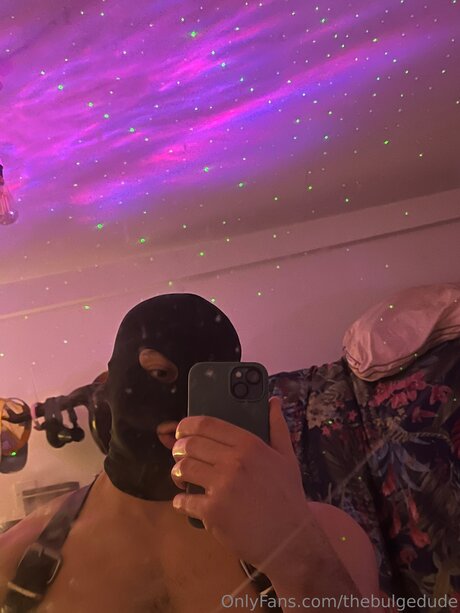Thebulgedude