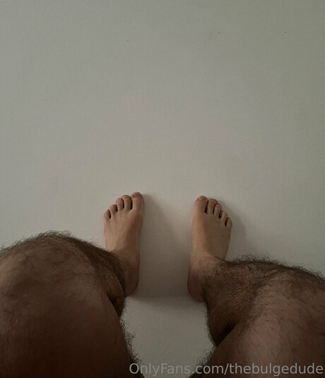 Thebulgedude