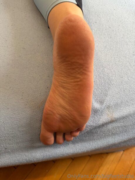 Bigfeetstudio