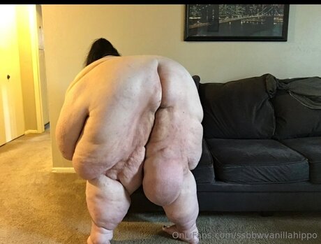 Ssbbwvanillahippo