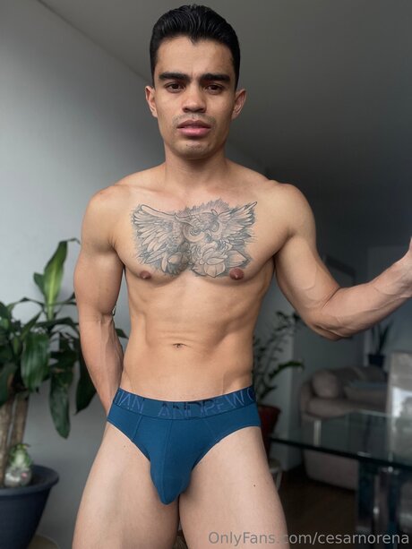 Nacktes geleaktes OnlyFans-Foto von Cesarnorena