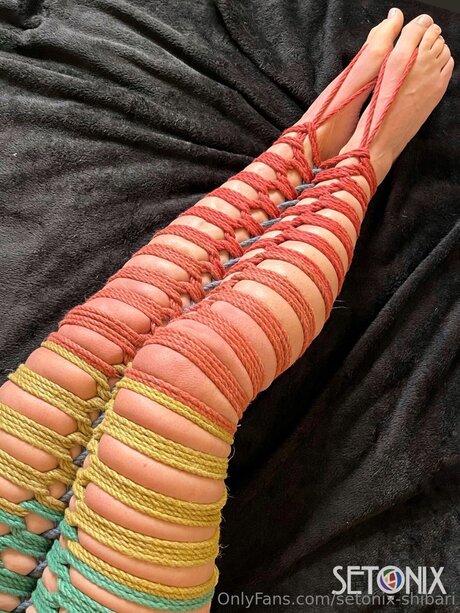 Setonix Shibari