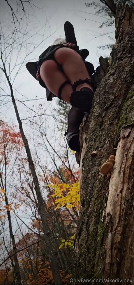 Aikodivinex