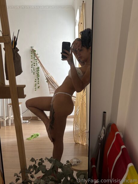 Isisoncam