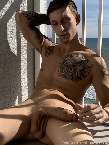 Dickperfectbro2