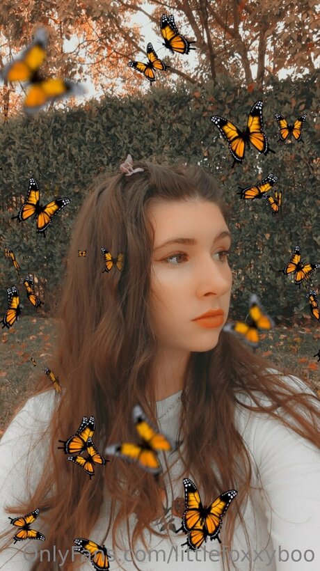 Littlefoxxyboo