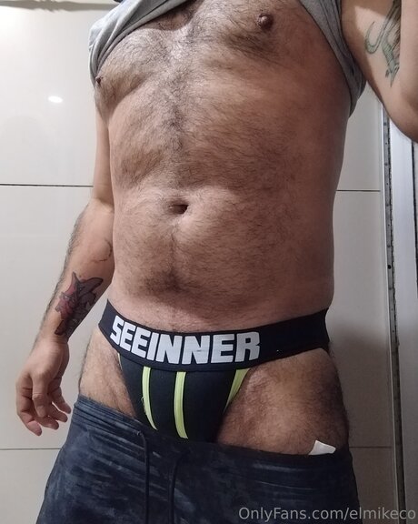 Elmikeco