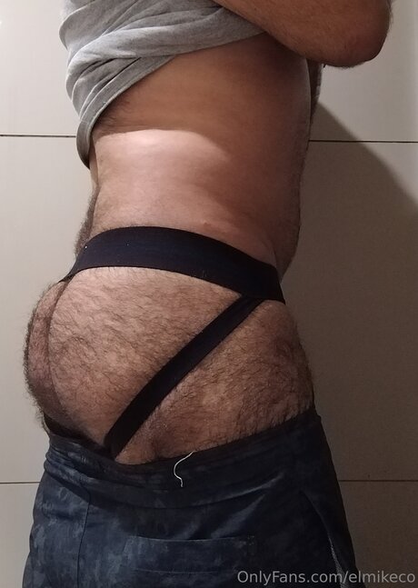 Elmikeco