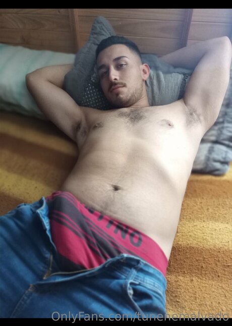 Tunenemalvado