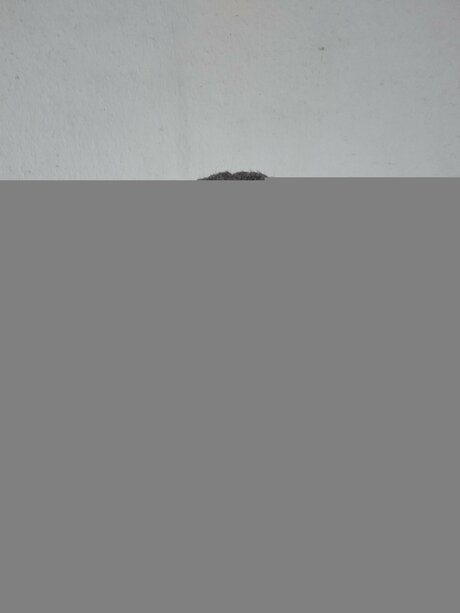 Nacktes geleaktes OnlyFans-Foto von Estebanruiz2022