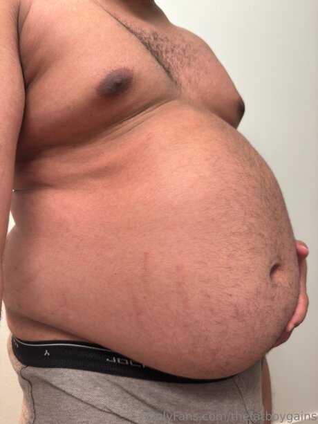 Thefatboygains