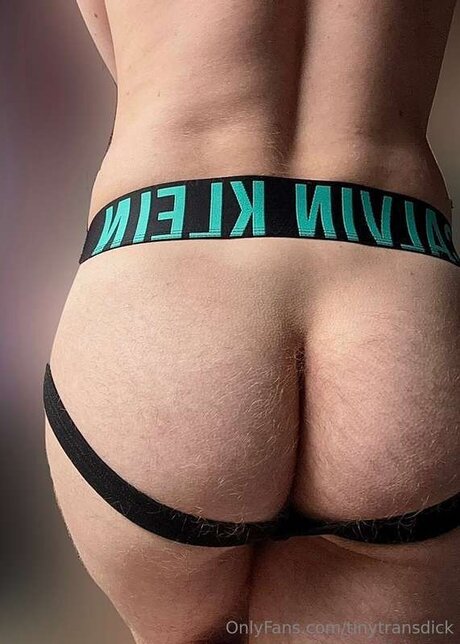 Tinytransdick