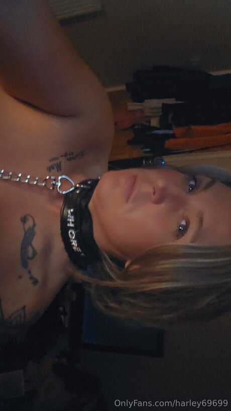 Harley69699