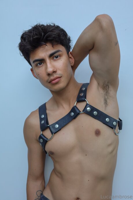 Lucaambrose