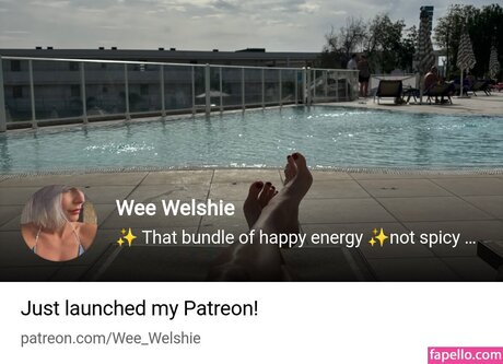 Wee_welshie