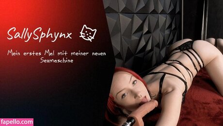 Sally_sphynx