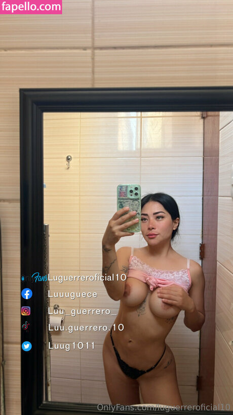 Luguerreroficial10