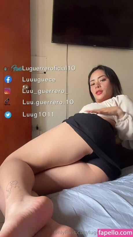 Luguerreroficial10