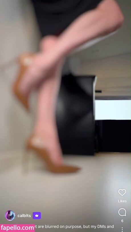 Calbits