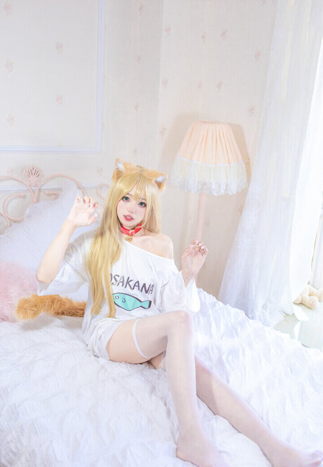 Yaokoututu