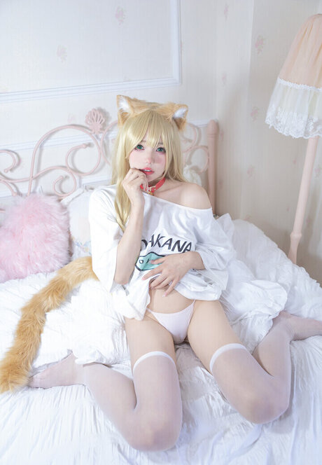 Yaokoututu
