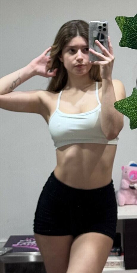 Soydairi