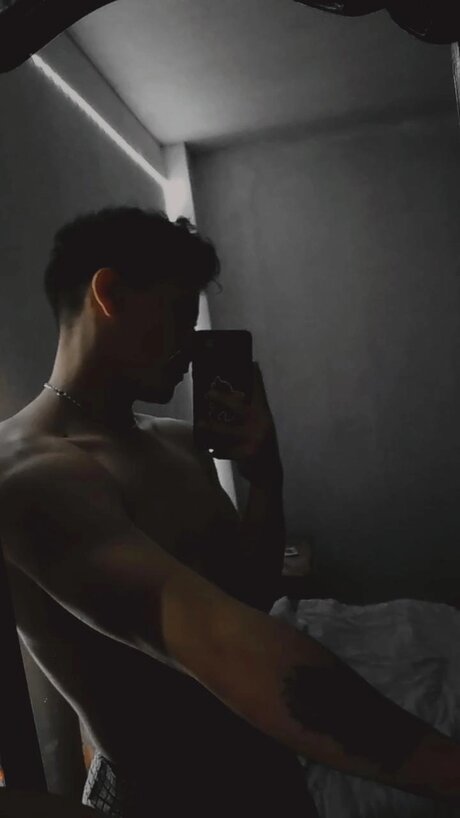 Spicy In Shape 