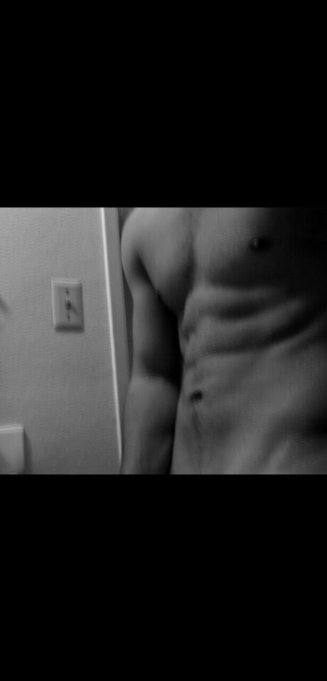 Stallion