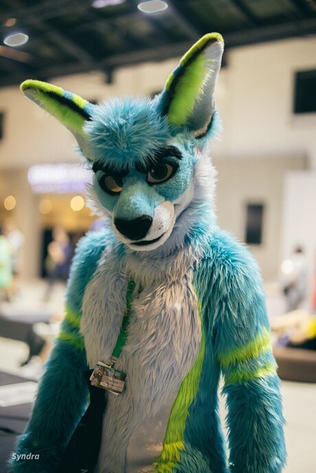 Techroo And Zoomy