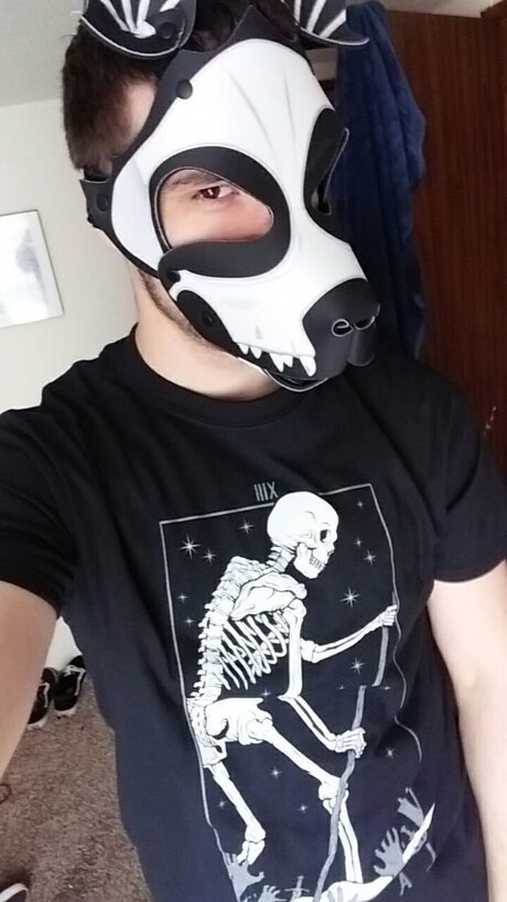 Scrapsdeadpup