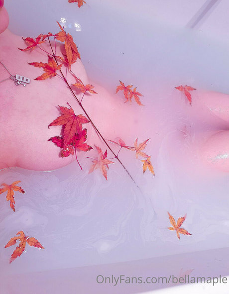 Nacktes geleaktes OnlyFans-Foto von Waifubellafree