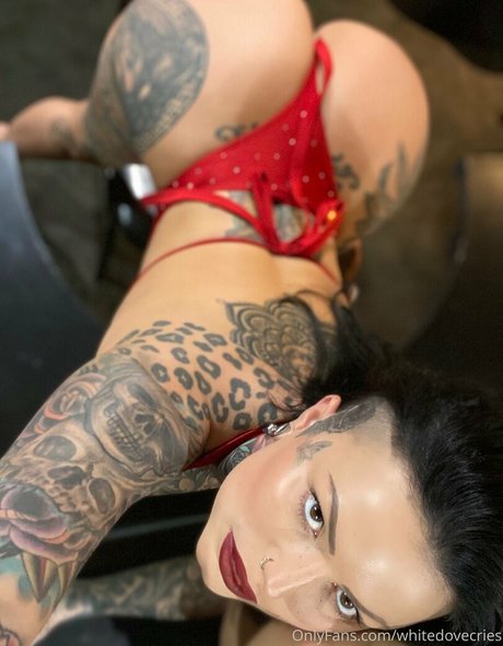 Nacktes geleaktes OnlyFans-Foto von Whitedovecries