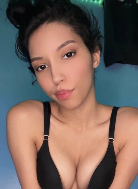 Kittenfox19