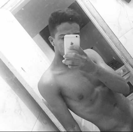Will Maciel