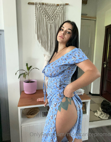 Monicaricepromo