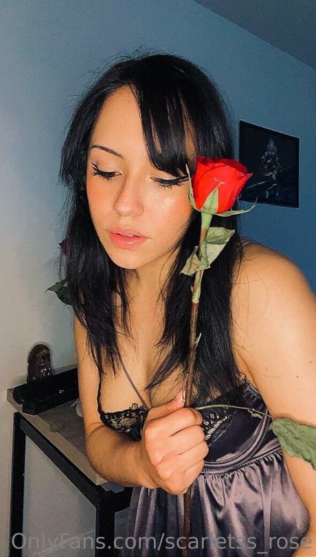 Scarletssrose