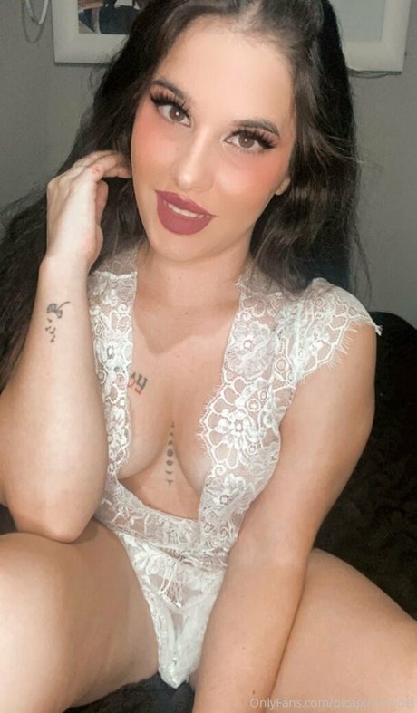 Picapicamodel