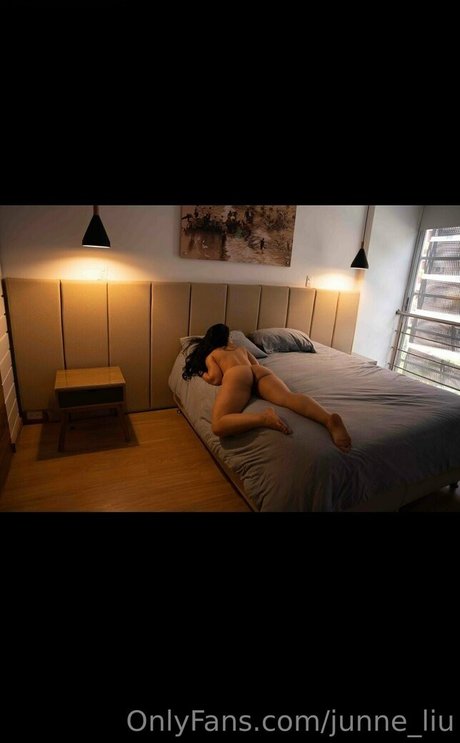 Junneliu Nacktes geleaktes OnlyFans-Foto von Junneliu #8