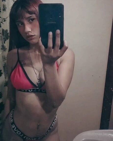 Gatitaa Salvaje