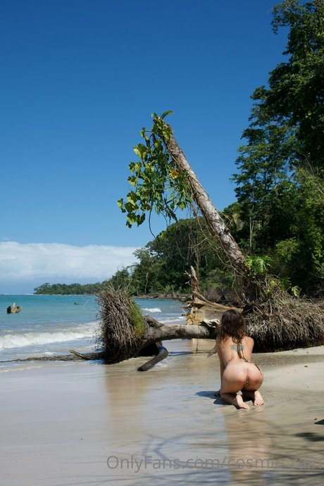 Touched By Nature