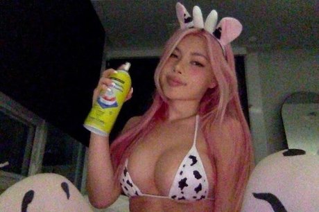 Diakimeko