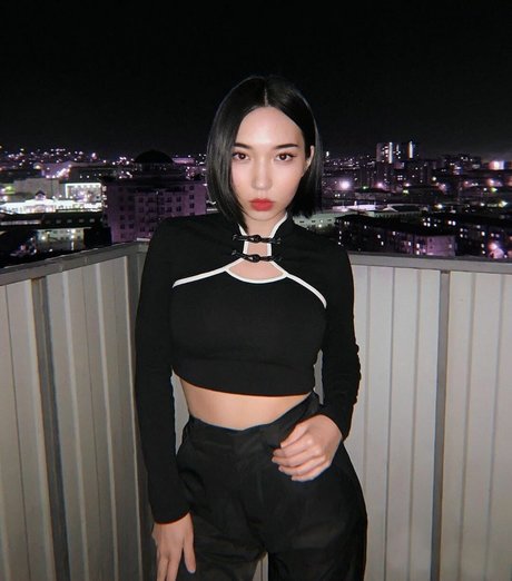 Ninjavi