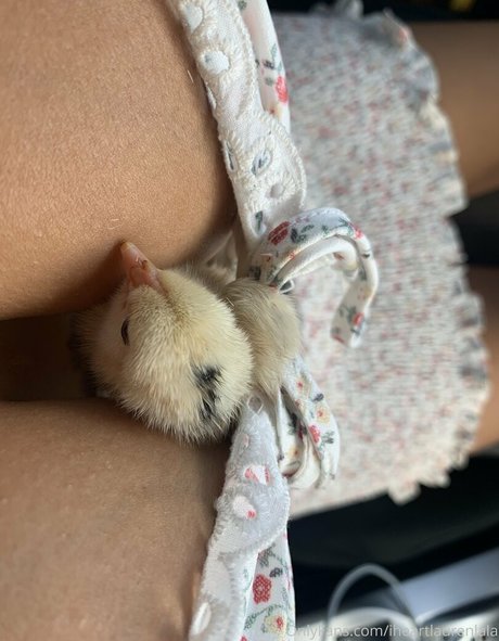 Nacktes geleaktes OnlyFans-Foto von Iheartlaurenlala