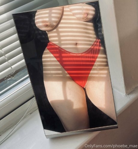 Phoebe_mae