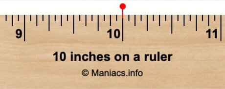 10in Prince Roca