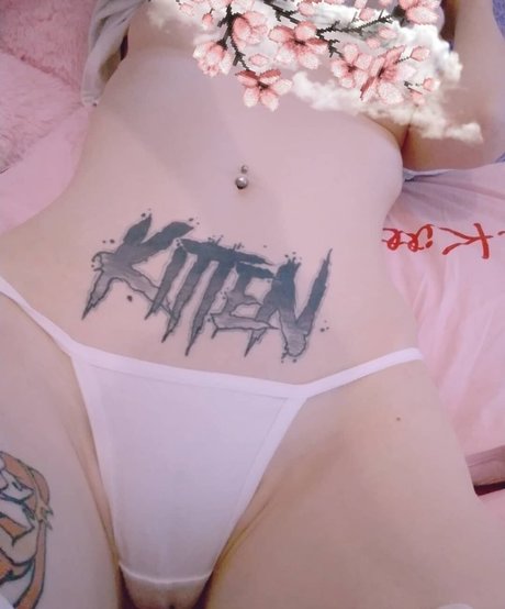 Kitten