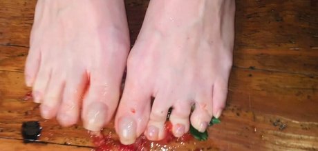Vixenarches